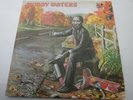 '76 Muddy Waters CHESS BLUES MASTERS SERIES Double Vinyl 33 Record Set Ex. Disc