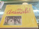 The Animals - Animal Teacks  Taiwan Press Orange FL 1330 rare Vg
