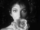 Kate Bush - Remastered in VinyI 11  2 - 4 x 180G Vinyl 12