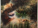 A Saucerful Of Secrets, by Pink Floyd UK 1969 Columbia