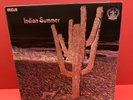 INDIAN SUMMER  UK Neon First Press vinyl Album NE3 1971 Very Clean EX/EX