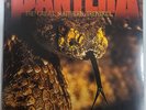 Pantera – The Great Southern Trendkill - Orange Marbled LP Vinyl Record - NEW