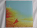 Flaming Lips THE TERROR - 2xLP Gatefold SILVER COLORED Vinyl Record Used 2013