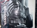 Whitesnake - The Best Of Whitesnake / NM / LP, Comp ObI, Inner