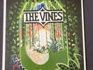 The Vines  