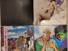 Prince – His Majesty's Pop Life  1985, Black album, Lovesexy, Around the World