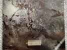 Cocteau Twins - Head Over Heels - Vinyl 12