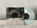 Backseat Lovers When We Were Friends CLEAR BLUE GREEN COLOR Vinyl LP