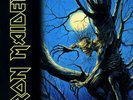 Iron Maiden Fear Of The Dark (180 Gram Vinyl) (2 Lp's) Vinyl New