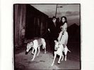 Van Morrison ‎– Days Like This (1995) Polydor vinyl NEW RARE