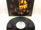 Roy Ayers Ubiquity - He's Coming 1972 Vinyl LP PROMO COPY / PD 5022 OG Gatefold