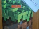 Minecraft Volume Alpha - C418 Vinyl LP Green Alpha Clear - New | VGM