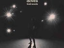 Doves - Lost Souls | [Black Vinyl LP] | Virgin