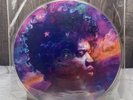 In From The Storm  Jimi Hendrix LP PICTURE DISC RCA Vinyl 1995 Rare NM