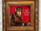 TALKING HEADS - Naked - Fly/Sire Orig Uni-Pak Gatefold  Vinyl LP 25654-1