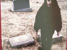 Crystal Castles -  Crystal Castles  2 LP  - US - B001445801  - super Zustand