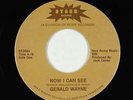 Modern Soul Funk 45 - Gerald Wayne - Now I Can See - Starr - VG+ mp3