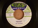 The Catalinas  Speechless/Flying Formation With You  Promo Rare Texas Rockabilly