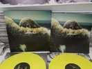 Lemonade [Yellow 180 Gram Vinyl] [Gatefold Cover] by Beyoncé (Record, 2017)