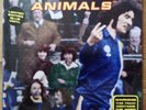 SUPER FURRY ANIMALS 'The Man Don't Give A Fuck' 7