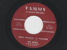 DOOWOP  R&B 45  - EDSELS - WHAT BROUGHT US TOGETHER - HEAR - 1960 TAMMY