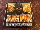 Big Pun - Endangered Species (Clean) - 12
