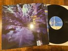 HUM Downward Is Heavenward - Album LP Record Original 1997 & Comin Home 7