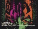 Luciano Michelini The Suspicious Death of a Minor OST LP Four Flies