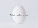 Wilco A Ghost Is Born (Vinyl) 12