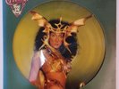 Cher, Take Me Home, NEW/UNPLAYED* Original U.S. import PICTURE DISC vinyl LP