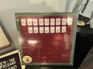 Dr. Dog “Abandoned Mansion” Vinyl Limited Edition
