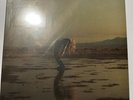 Phoebe Bridgers Copycat Killer Vinyl EP Exclusive Spit Color - LE 2000  IN HAND