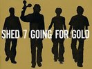 Shed 7 - Going For Gold | [Black Vinyl LP] |