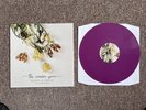 The Wonder Years - Burst & Decay Vinyl EP (Purple Opaque)