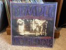 Temple of the Dog Supergroup Vintage Vinyl Record Lp Debut Self Titled Cornell