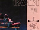 Hippo Campus - BAMBI (MIDWINTER) - Vinyl LP - NEW & SEALED