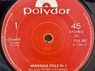 Simba Wanyika Mwenda Pole Psyche Rumba Kenya 45 RPM MP3 Listen