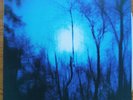 FLYING SAUCER ATTACK Further US LP Drag City ‎DC69 1995 NMINT Post Rock