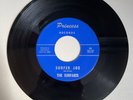 SURFARIS 45 Surfer Joe/WIpe Out PRINCESS 50 surf rock garage short version VG+