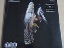 THE COURTEENERS - Falcon - White Vinyl, 2019 Record Store Day - Mint/Sealed