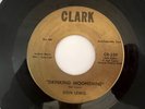 Rare Ohio Rockabilly Bopper 45 / Don Lewis 