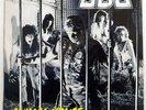 U.D.O ANIMAL HOUSE RCA RPL8398 JAPAN PROMO VINYL LP