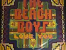The Beach Boys Love You Album Vinyl - 