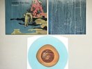 Saves The Day - In Reverie Vinyl - Color in Color Variant /250 *SOLD OUT*
