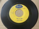 Willie Hayden BLUES R&B DOOWOP 45 Peace Of Mind / Turn The Hi-Fi Down DOOTO HEAR