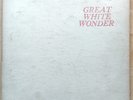 Bob Dylan - Great White Wonder  Rare Folk Rock - BEAUTIFUL NM COPY   No Matrix #