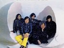 Orphan Egg - Orphan Egg [New Vinyl LP]
