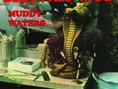 MUDDY WATERS - ELECTRIC MUD - LP RUSSIA IMPORT (1968 ROTARY CONNECTION) 2023