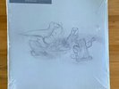 BIG THIEF Limited ‎Dragon New Warm Mountain Eco-Mix Random Colored Vinyl Sealed