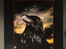 STRANGLERS: the raven FAME 12